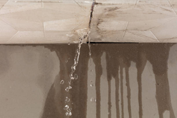 Professional Commercial Water Damage Restoration technician working in Greenville, IL